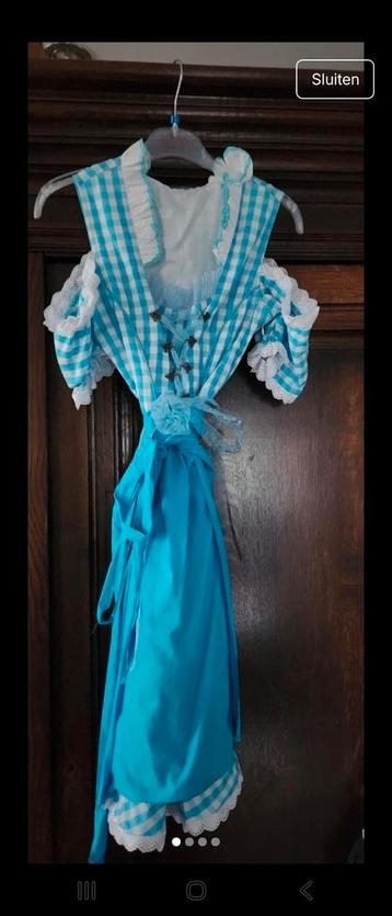 Leuke Dirndl jurk - Maat 36/38 beschikbaar voor biedingen
