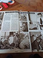 Artikel De Grote Bontekoe Jelsum Dantuma trommels 1954, Verzamelen, Ophalen of Verzenden, 1940 tot 1960, Knipsel(s)