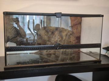 Terrarium te koop beschikbaar voor biedingen