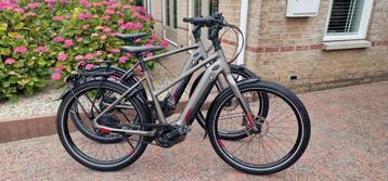Prachtige set Koga Pace B10 Bosch performance cx en belt beschikbaar voor biedingen
