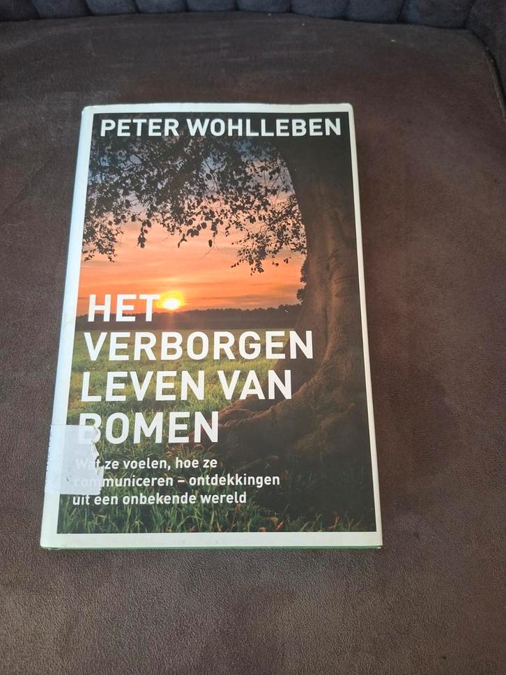 Het verborgen verleden van bomen Peter Wohlleben, Boeken, Natuur, Zo goed als nieuw, Bloemen, Planten en Bomen, Ophalen of Verzenden