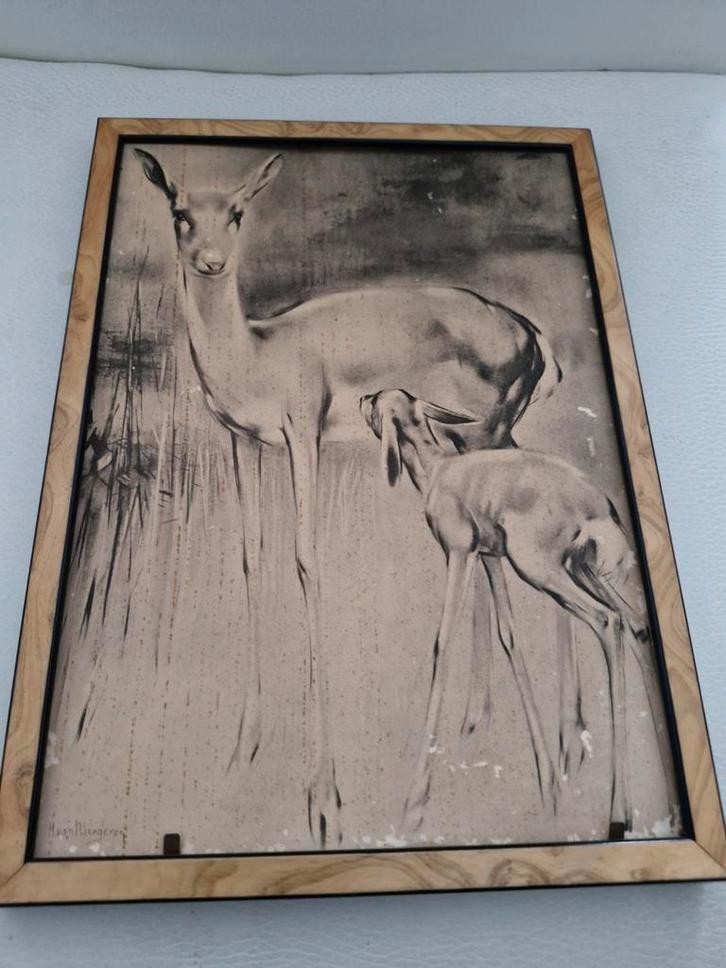 Vintage Herten Familie Print in Lijst, Antiek en Kunst, Kunst | Tekeningen en Foto's, Ophalen of Verzenden