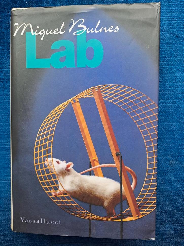 Bulnes  Lab, Boeken, Romans, Zo goed als nieuw, Ophalen of Verzenden