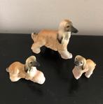 Afghaanse windhonden set van 3, Ophalen of Verzenden, Zo goed als nieuw, Beeldje of Figuurtje