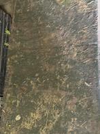 Rubberen tegels matten +/- 4cm dik ruim 7,5m2, Tuin en Terras, Ophalen, Gebruikt, Rubber, 5 tot 10 m²