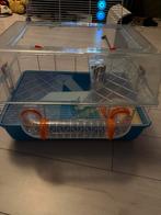 Hamsterkooi, Dieren en Toebehoren, Kooi, Minder dan 75 cm, Zo goed als nieuw, Muis