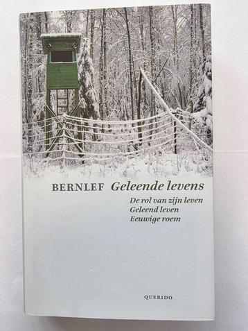 Boek - 967 - Geleende levens - Bernlef beschikbaar voor biedingen