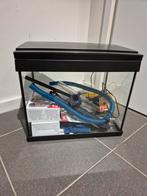 Aquarium, Ophalen, Gebruikt, 2j.brabant@gmail.com, Leeg aquarium