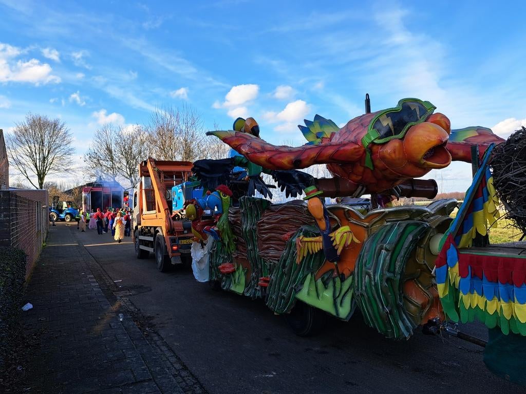 Carnavalswagen thema 'Rio' te koop, Eén persoon, Overige typen