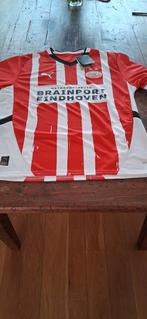 Nieuw PSV maat L, Sport en Fitness, Voetbal, Ophalen of Verzenden, Nieuw, Shirt