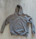 Hoodie / Trui Maat M - Ashes to Dust, Ashes to Dust, Maat 48/50 (M), Ophalen of Verzenden, Grijs