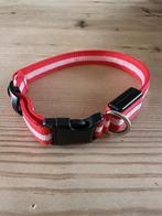 Hondenhalsband met lampje, NIEUW, Dieren en Toebehoren, Ophalen of Verzenden, Nieuw