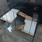 Hamster verblijf kooi glas, Kooi, Minder dan 75 cm, Hamster, Ophalen