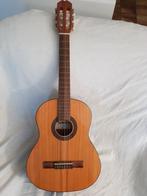 Mooie gitaar met tas., Ophalen, Zo goed als nieuw, Klassieke of Spaanse gitaar