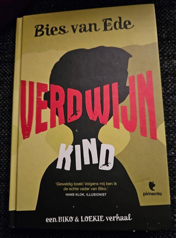 Bies van Ede - Verdwijnkind, Boeken, Kinderboeken | Jeugd | 10 tot 12 jaar, Zo goed als nieuw, Ophalen of Verzenden