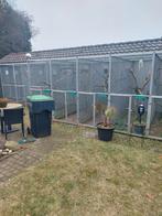 Aluminium volière panelen., Dieren en Toebehoren, Vogels | Hokken en Kooien, Ophalen, Aluminium, Volière