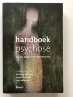 Handboek psychose, Boeken, Verzenden, Klinische psychologie, Mark van der Gaag, Zo goed als nieuw