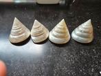 Deze parelmoer schelp ( Troches) is ongeveer 6/7 hoog
Ze kos, Ophalen of Verzenden, Schelp(en)