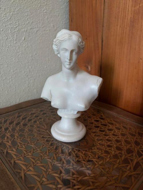 borstbeeld Venus - buste, Antiek en Kunst, Kunst | Beelden en Houtsnijwerken, Ophalen of Verzenden