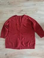 Rood dames vest, Ophalen of Verzenden, Zo goed als nieuw, Maat 46/48 (XL) of groter, Rood