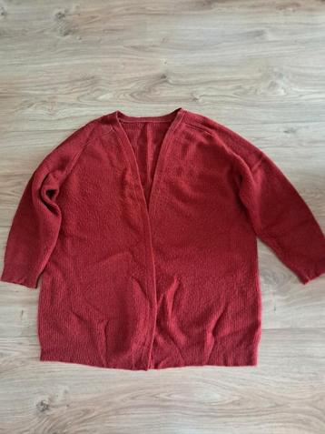 Rood dames vest beschikbaar voor biedingen
