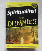 Spiritualiteit voor dummies, Boeken, Ophalen of Verzenden, Zo goed als nieuw, Achtergrond en Informatie