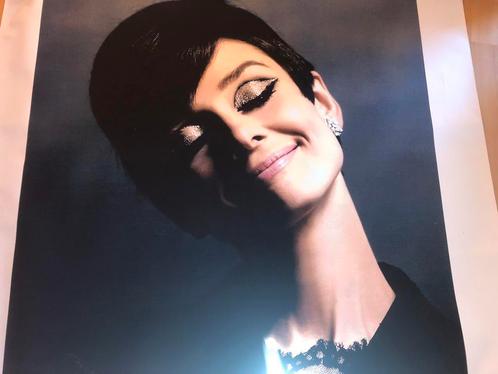 Audrey Hepburn grote print op canvas, Verzamelen, Posters, Zo goed als nieuw, Overige onderwerpen, Deurposter of groter, Rechthoekig Staand