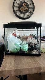 Aqarium met toebehoren, Dieren en Toebehoren, Vissen | Aquaria en Toebehoren, Ophalen, Zo goed als nieuw, Leeg aquarium