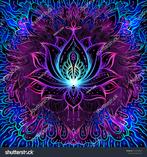 Jij (vrouw) bent welkom niet te ver weg, Contacten en Berichten, Man zoekt Vrouw