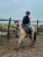 Ponyrijden, paardrijden, alle leeftijden!, Dieren en Toebehoren, Paarden en Pony's | Overige Paardenspullen, Ophalen of Verzenden
