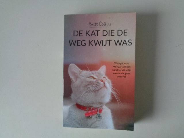 17643-6-2 : Poezen / Katten : De kat die de weg kwijt was.1C, Ophalen of Verzenden, Zo goed als nieuw