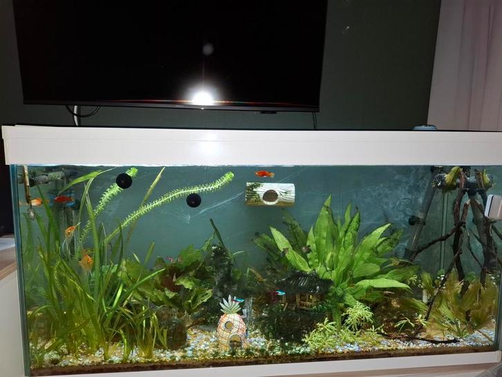 Aquarium ciano emotions 120x40x60, Dieren en Toebehoren, Vissen | Aquaria en Toebehoren, Gevuld zoetwateraquarium, Ophalen