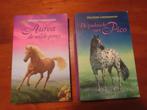 De zoektocht vanPico/Aurea de wild pony ChristineLinneweever, Gelezen, Fictie algemeen, Ophalen of Verzenden, Christine Linneweever