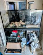 Red sea 425 xl, Dieren en Toebehoren, Overige typen