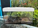 Leeg aquarium, Ophalen of Verzenden, Zo goed als nieuw, Leeg aquarium