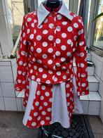 Karnavalspakje, Ophalen of Verzenden, Zo goed als nieuw, Maat 38/40 (M), Carnaval