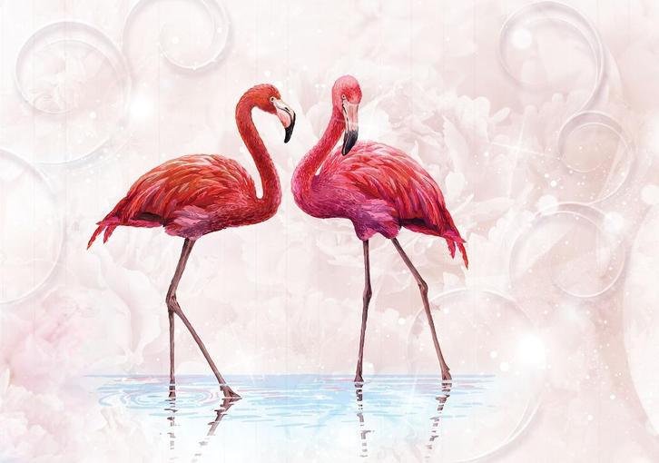 Flamingo vlies fotobehang zachtroze - Ook voordelig op maat, Huis en Inrichting, Stoffering | Behang, minder dan 10 m², Verzenden