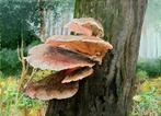Kunsthandel Gennep - "Mushroom", Ophalen of Verzenden