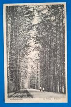 Ansichtkaart De Steeg Ellecom Middachterallee 1929, Ophalen of Verzenden, 1920 tot 1940, Gelopen, Gelderland