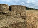 19 grote balen kruidenrijk hooi, Dieren en Toebehoren, Dierenvoeding, Ophalen, Vee