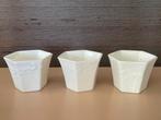 Chinese porcelain: blanc de chine, Ophalen of Verzenden