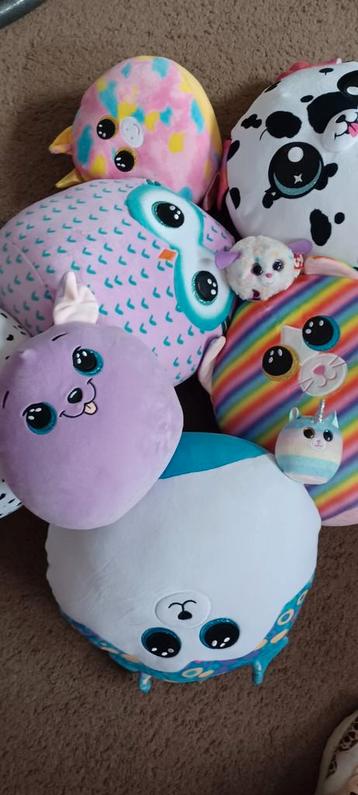 Squishmallow verzameling TY