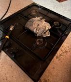 Gaskookplaat 50x58 - Nette Staat!, Ophalen, Gebruikt, 4 kookzones, Inbouw