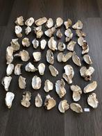 Oesterschelpen, Verzamelen, Mineralen en Fossielen, Ophalen of Verzenden, Mineraal