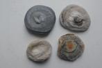 Calcedoon Rozet  -  4  stuks, Verzamelen, Mineralen en Fossielen, Verzenden, Fossiel