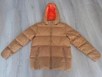 Tommy Hilfiger Winterjas 176 - Zeer Goede Staat beschikbaar voor biedingen