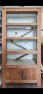 Cavia flat, Ophalen, 90 cm of meer, Hok, Cavia