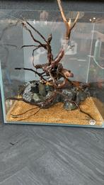 Aquarium 30x30x30cm, Dieren en Toebehoren, Vissen | Aquaria en Toebehoren, Ophalen, Leeg aquarium