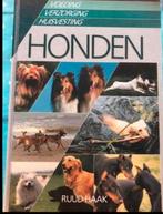 Honden, verzorging,, Boeken, Dieren en Huisdieren, Ophalen of Verzenden, Gelezen, Honden