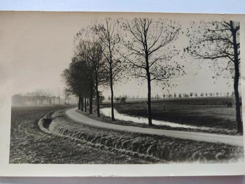 D700 Dordt Fotokaart Natuur, Verzamelen, Ansichtkaarten | Nederland, Gelderland, 1920 tot 1940, Ophalen of Verzenden